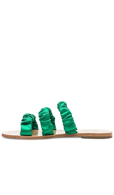 Shop Raye Berry Slide In Emerald