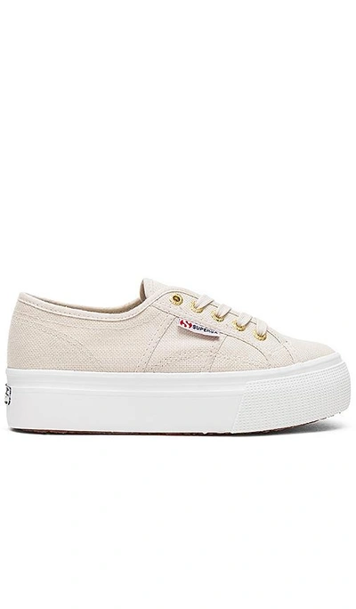 Shop Superga 2790 Sneaker In Cafe Noir