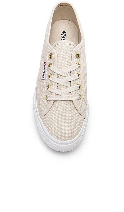 Shop Superga 2790 Trainer In Cafe Noir