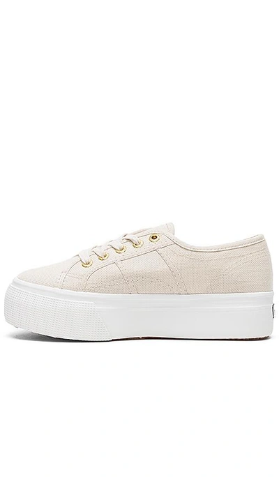 Shop Superga 2790 Sneaker In Cafe Noir