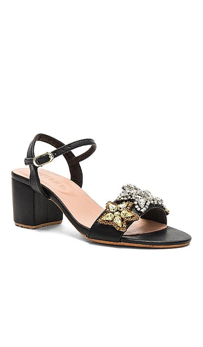 Shop Mystique Star Sandal In Black