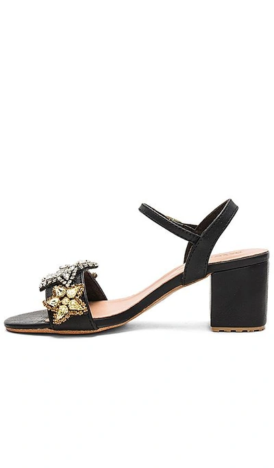 Shop Mystique Star Sandal In Black