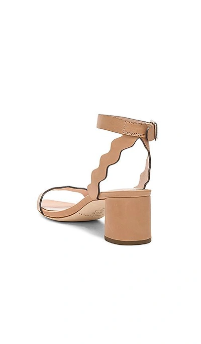 Shop Loeffler Randall Emi Sandal In Wheat