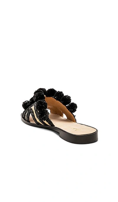 Shop Joie Paden Sandal In Black