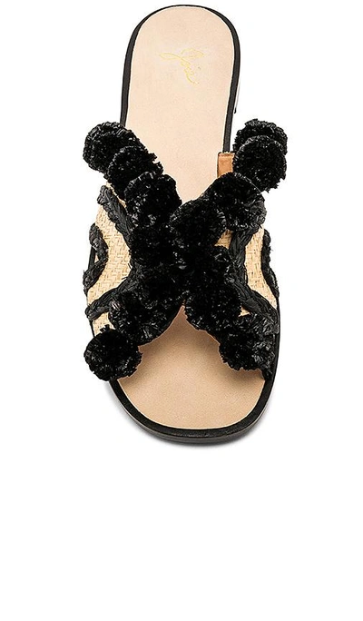 Shop Joie Paden Sandal In Black