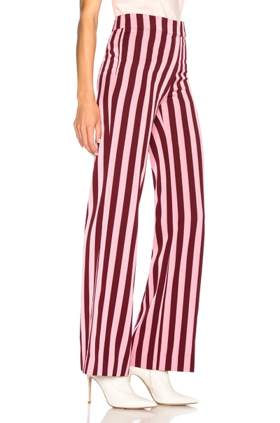 Shop Alexa Chung Alexachung High Waist Trousers In Pink,red,stripes