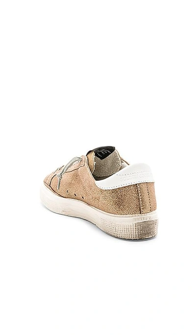 Shop Golden Goose May Sneaker In Gold