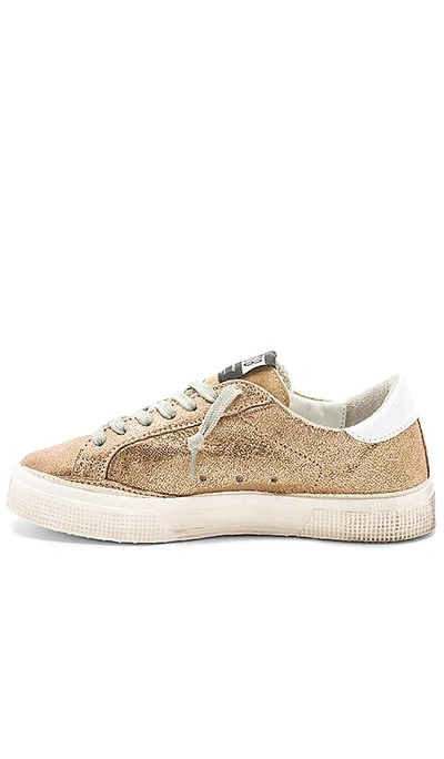 Shop Golden Goose May Sneaker In Gold