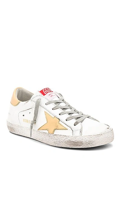 Shop Golden Goose Superstar Sneaker In White