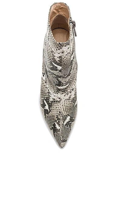 Raye Congo Boot In Gray