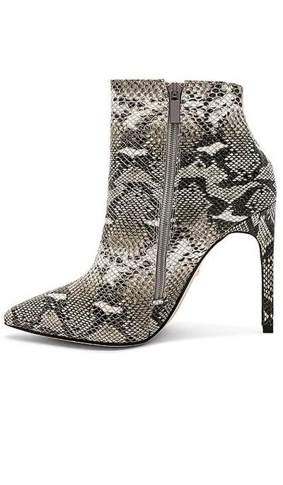 Raye Congo Boot In Gray