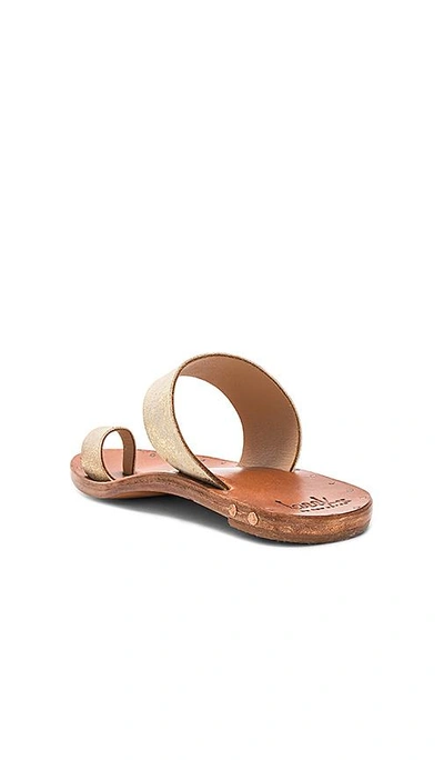 Shop Beek Finch Sandal In Distressed Gold & Tan