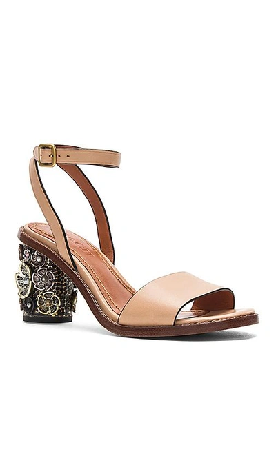 Coach Sandale Mit Mittelhohem Absatz Mit Teerosen - Size 9.5 B In Tan