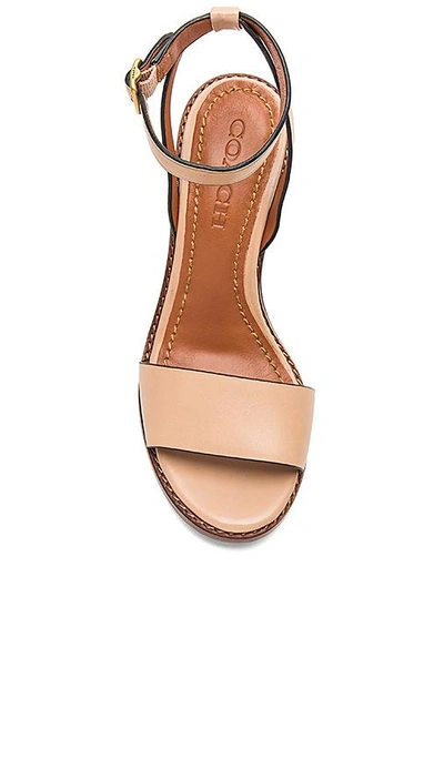 Coach Sandale Mit Mittelhohem Absatz Mit Teerosen - Size 9.5 B In Tan
