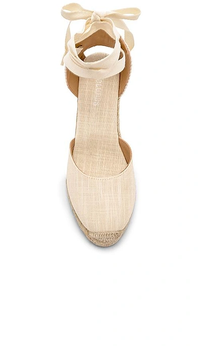 Shop Soludos Tall Wedge In Blush