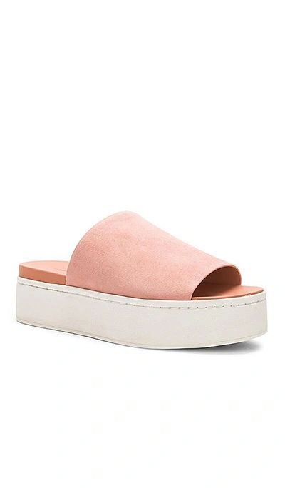 Shop Vince Walford Platform Slide In Blush