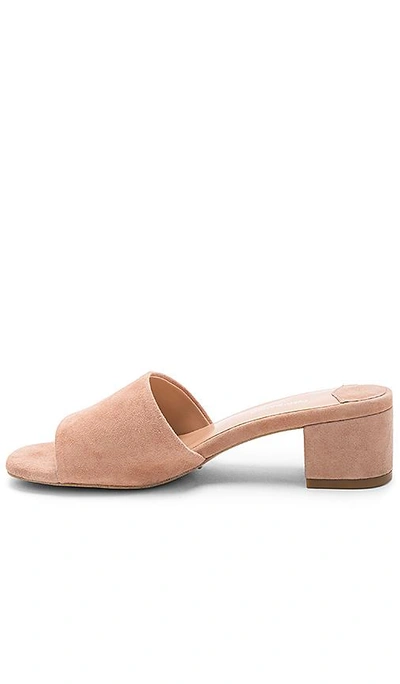 Tony bianco mae best sale mule