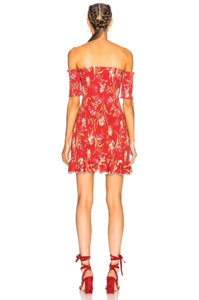 Shop Zimmermann Corsair Smocked Flutter Dress In Floral,red