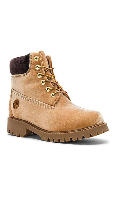 Shop Off-white Timberland Boot In Brown