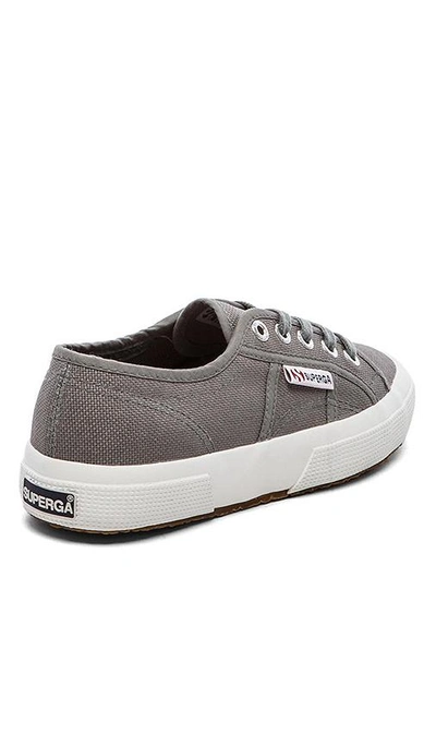 Shop Superga 2750 Cotw Sneaker In Grey Sage