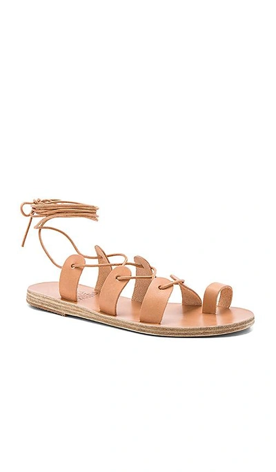Shop Ancient Greek Sandals Alcyone Sandal In Tan