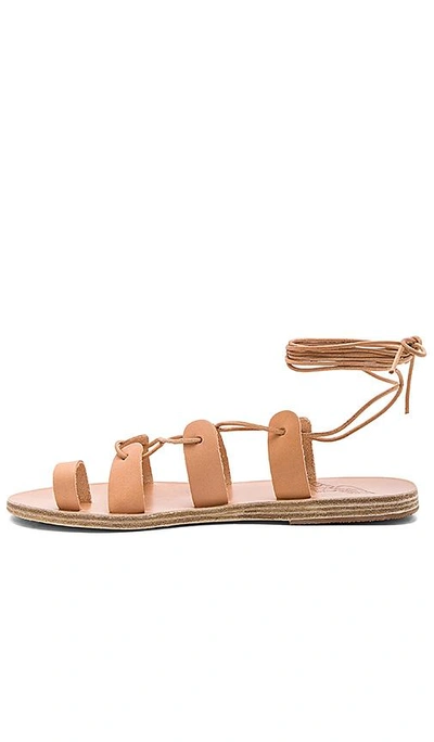 Shop Ancient Greek Sandals Alcyone Sandal In Tan