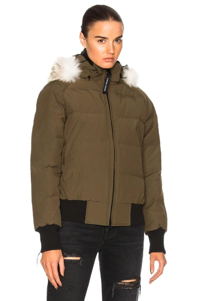 Shop Canada Goose Savona Bomber With Coyote Fur In Green. In Military Green