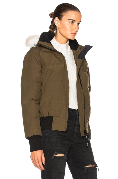 Shop Canada Goose Savona Bomber With Coyote Fur In Green. In Military Green