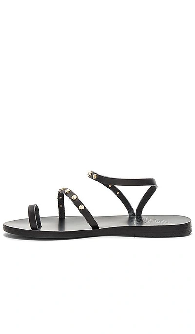 Shop Ancient Greek Sandals Apli Eleftheria Nails Sandal In Black