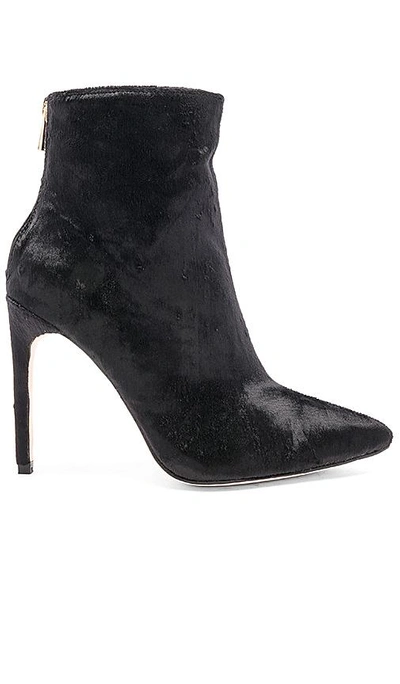 Shop Chrissy Teigen By Raye Christine Bootie In Black. In Black Velvet