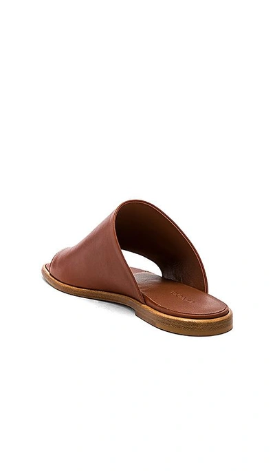 Shop Vince Edris Slide In Brown