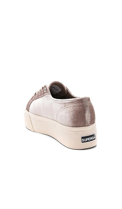 Shop Superga 2790 Velvet Platform Sneaker In Gray