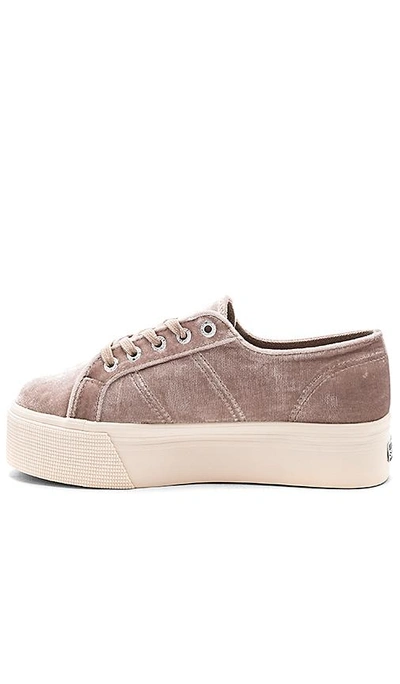 Shop Superga 2790 Velvet Platform Sneaker In Gray