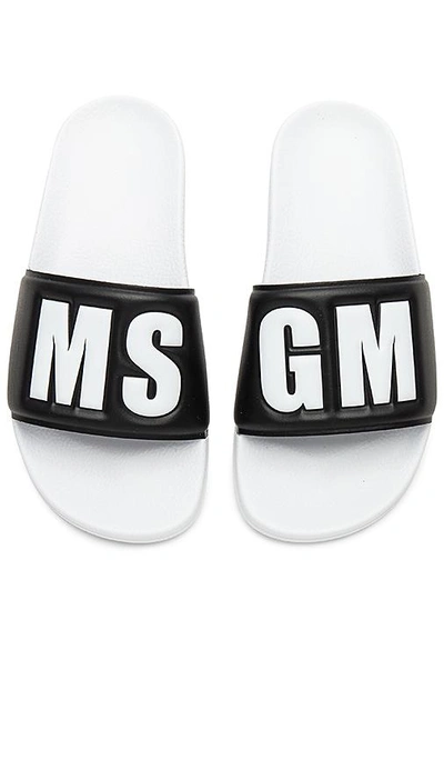 Shop Msgm Slides In Black & White