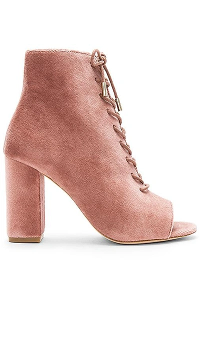 Shop Joie Lakia Bootie In Rose