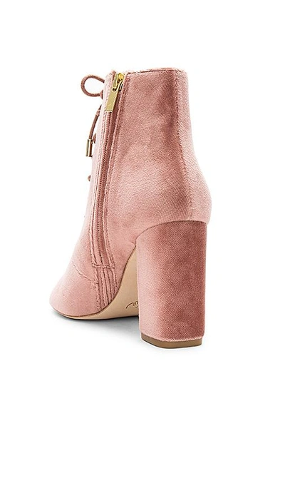 Shop Joie Lakia Bootie In Rose