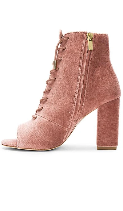 Shop Joie Lakia Bootie In Rose