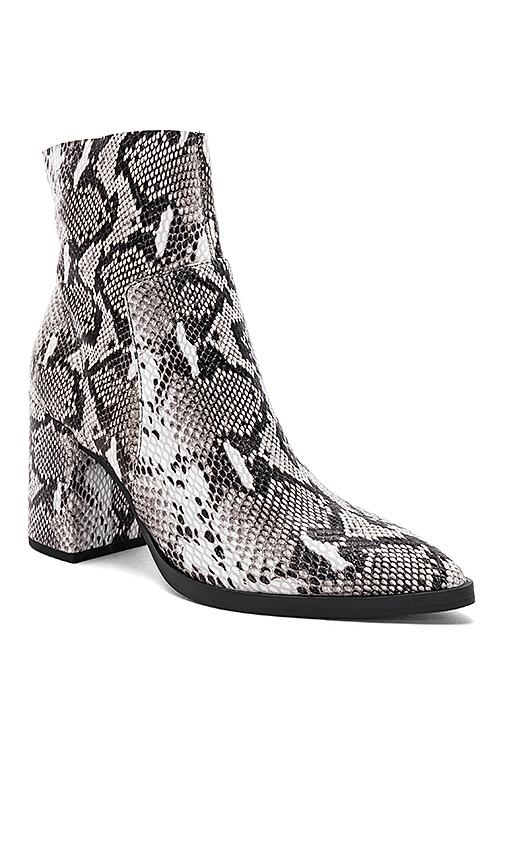 tony bianco brazen snake