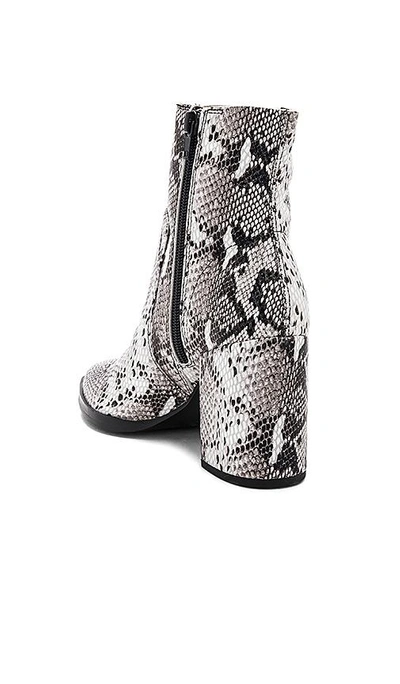 Shop Tony Bianco Brazen Bootie In Natural Snake