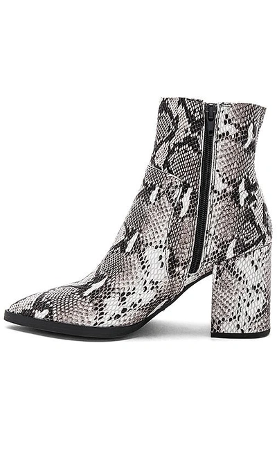 Shop Tony Bianco Brazen Bootie In Natural Snake