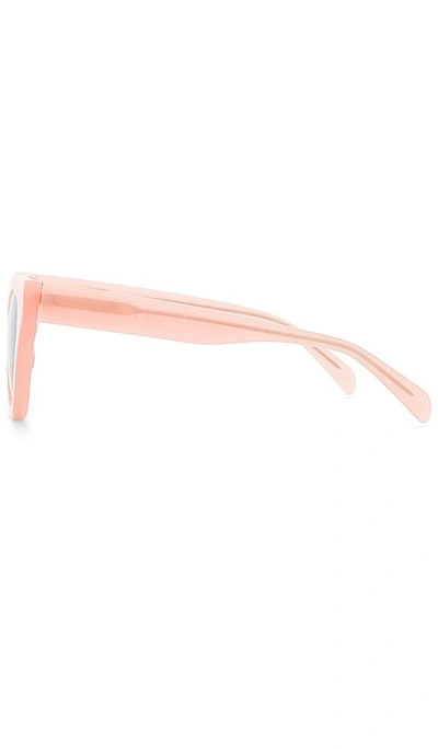 Shop Carla Colour Barton Sunglasses In Pink