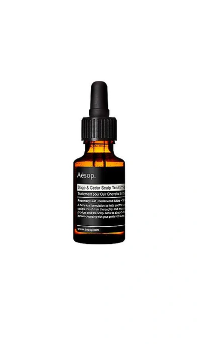 Shop Aesop Sage & Cedar Scalp Treatment In N,a