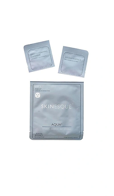 Shop Skinesque 3 Step Aqua+ Super Fine Mask. In N,a