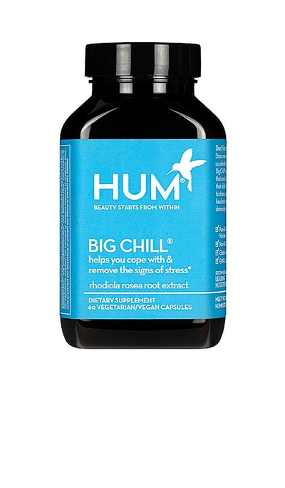 Shop Hum Nutrition Big Chill Stress Management Supplement In N,a