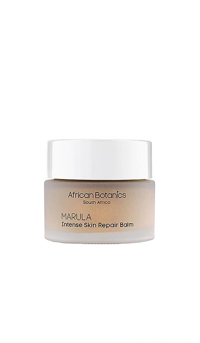 Shop African Botanics Marula Intense Skin Repair Balm In N,a
