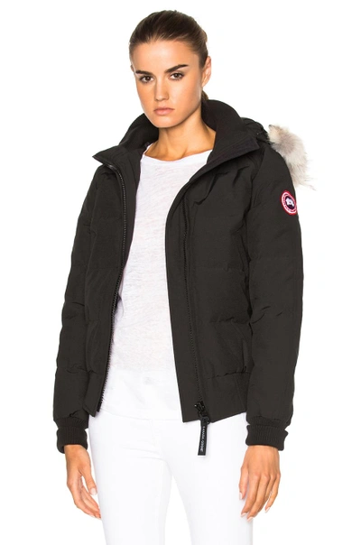 Shop Canada Goose Savonna Bomber With Coyote Fur In Black.