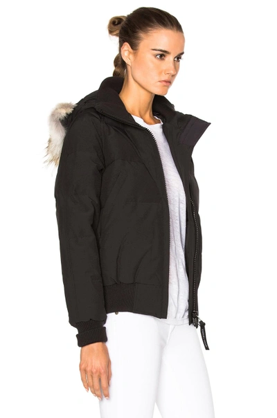 Shop Canada Goose Savonna Bomber With Coyote Fur In Black.