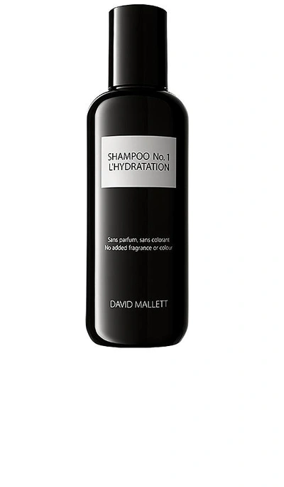 Shop David Mallett Shampoo No. 1 L'hydratation In N,a