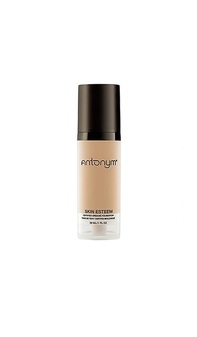 Shop Antonym Skin Esteem Organic Liquid Foundation In Tan