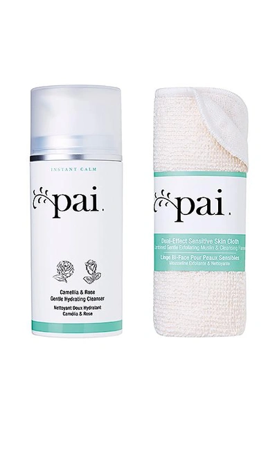 Shop Pai Skincare Camellia And Rose Gentle Hydrating Cleanser In Beauty: Na